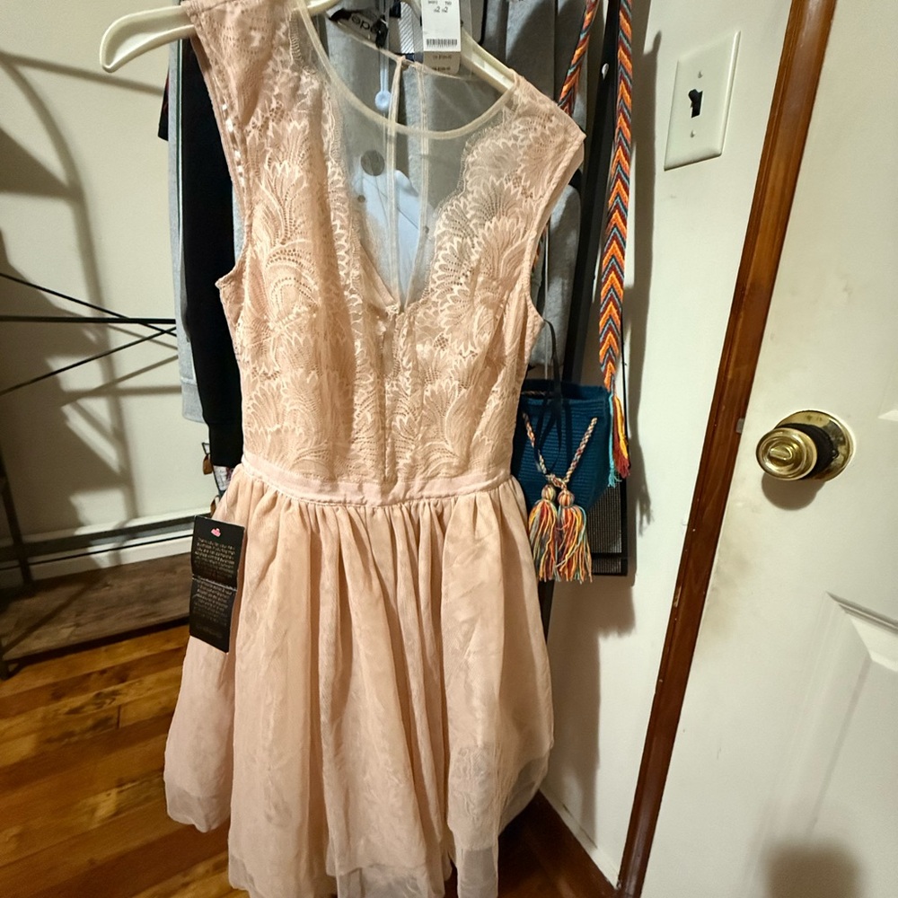 bebe Lace Dress in Soft Pink